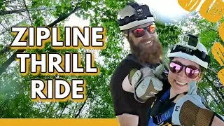 Unleash Your Inner Thrill-Seeker: Brainerd Zipline Tour in Nisswa, Minnesota
