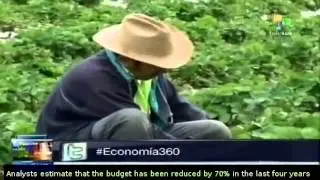 Spain: Economic crisis hits agriculture and livestock