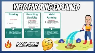 Yield Farming On Cardano Explained + Sundaeswap Yield Rewards