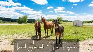 Local Animals First Program