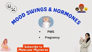 MOOD SWINGS || ESTROGEN & PROGESTERONE || PMS || FLUCTUATIONS || PREGNANCY HORMONES || MENSTRUATION