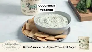 Bellwether Farms Yogurt Cucumber Tzatziki