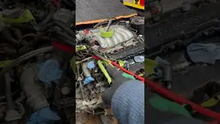 Label EVERYTHING Engine Wiring Harness