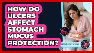 How Do Ulcers Affect Stomach Mucus Protection?