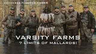 Arkansas Timber Hunting (7 Limits Of Mallards!!) K Zone TV: Varsity Farms