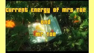 Current Energy Check | Mr & Mrs Tae in a Phase of Growth #mrstae #kimtaehyung #bts #mrtae 