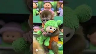 Part 1 &ndash; Kewpie & Bibi&rsquo;s Ultimate Green Baby Shopping Compilation &ndash; Every Toy Bin Adventure! 💚🛒