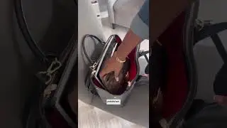 Organize my bag with me #teddyblake #organizedlife #organizewithme