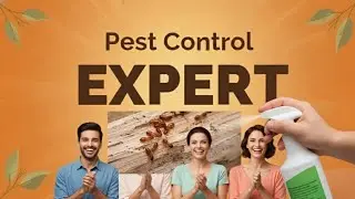 Pest Control Expert Service | Bee Hive, Rodent, Bed Bug Removal | Abhi Call Karein 8968679310