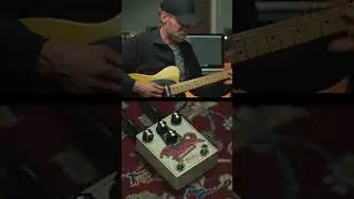 Thorn The Freaq into a Silverface Bassman