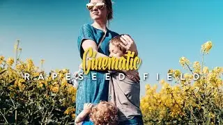 Rapeseed Norfolk | Cinematic Edit | Sony A6500 Sigma 30mm 1.4