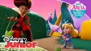 Alicia en su maravillosa pastelería: El misterio de los cupcakes | Disney Junior Oficial