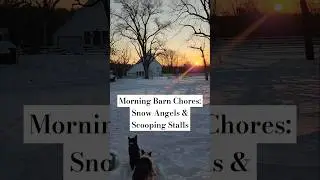 Morning Chores: Corgi Snow Angels #morningroutine #mommyfarmer #farmdog #goats #snowday #farmlife