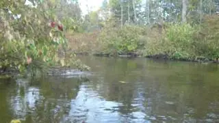 Shiawassee River Heritage Water Trail Video