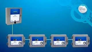 How to Calibrate the DST-ECO Gas Detector