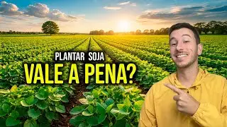 Plantação de soja: veja quanto sobra em 1 hectare | Matemática Aplicada