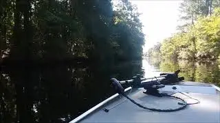 North Carolina Swamp