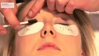 Lash Perfect