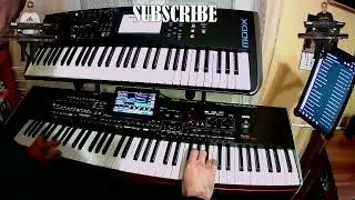 Magnetic Fields Pt.5🎹Yamaha MODX6 & Korg Pa4x Live Cover🎹