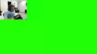 XQC Racing Wheel Green Screen