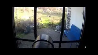 Am Vogelbad 22032016