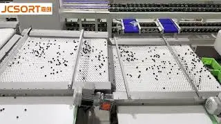 JC SORT Blueberry Grading Machine &ndash; Precision Meets Efficiency!
