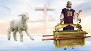 Salvation of a High Priest -Go Tell: Scripture from the Lord: Ruth 4:3; Hebrews 5:10; Luke 3:6