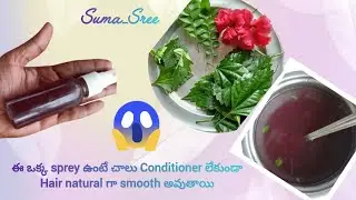 ఈ ఒక్క gel ఉంటే చాలు hair natural గా smooth అవుతాయి 🤗| hibiscus 🌺 and alovera conditioner for hair 