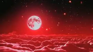 Amazing night sky with moon clouds red and Black Bird | stock video background sky red video effects