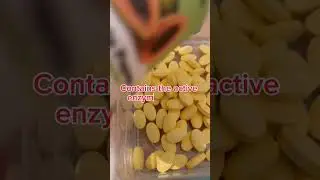 PAPAYA&nbsp;(100 Chewable Tablets)