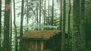 Relaxing Rain On Misty Forest Cottage | ASMR | Fall Asleep In Moments