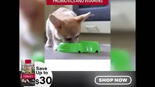 Black Friday Sale - Save Upto $30 on Pet Food 🐶