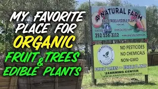 Favorite Place for Organic Fruit Trees & Plants | A Natural Farm Central Florida