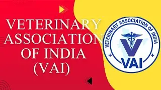 India&rsquo;s Growing Veterinary Network &mdash; Understanding the Veterinary Association&nbsp;of&nbsp;India&nbsp;(VAI)