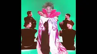 Highly Suspect - 