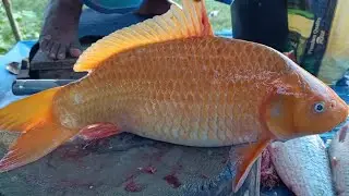 UNBELIEVABLE! 🔥 Fastest Fish Cutting Skills on Earth! #FastestFishCutting#AmazingCutKnif#ViralShorts