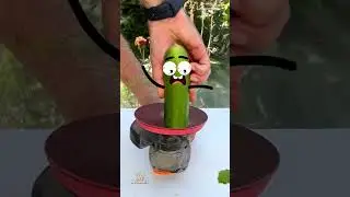 Cute Life Doodles | Grinder and cucumber 🤪 #cutelifedoodles #cartoon #animation #funny