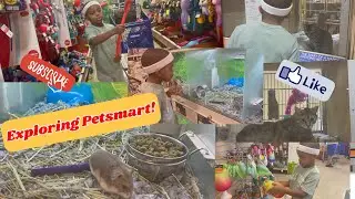 Exploring PetSmart ! Animal friends Everywhere!