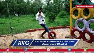 A visit to a Timmakka Tree Park Sagar road Bhatkal