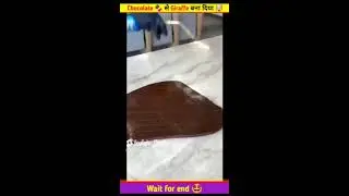 Chocolate से बनाया Giraffe #short #live #viral #treanding #shortfeed #make #craft #chocolate #facts