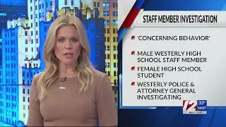 Police investigating allegations against school employee