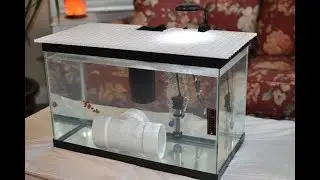 quarantine aquarium : hospital tank for sick fish and new fish
