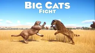 Big Cats Category Fight in Planet Zoo - PLANET ZOO - Planet Zoo Animal Fights