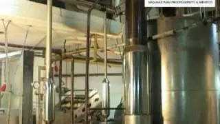 Línea Continua Papas Fritas 300 Kg. /h