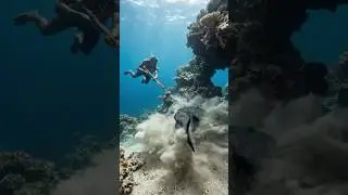 Barefoot Freediver vs Powerful Fish | No Fins, No Gear