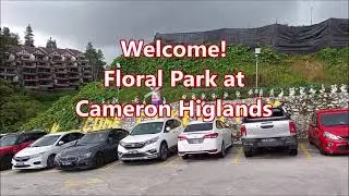 Floral Park at Cameron Higlands 金马伦高原, Malaysia