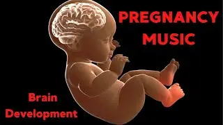Pregnancy Music for Baby in Womb | Soothing Prenatal Sounds for Relaxation & Sleep *89