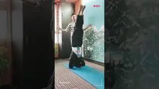 Headstand | King of Asanas | Yogastudio