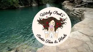 Witchy Pooh's Yellow Dock Tea