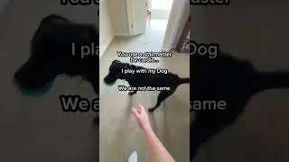 Playing with your dog is Optimal Cardio